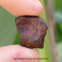 Agoudal (Imilchil) - Fer, IIAB - Individu complet - 9.47g - Maroc (Montagnes de l'Atlas)