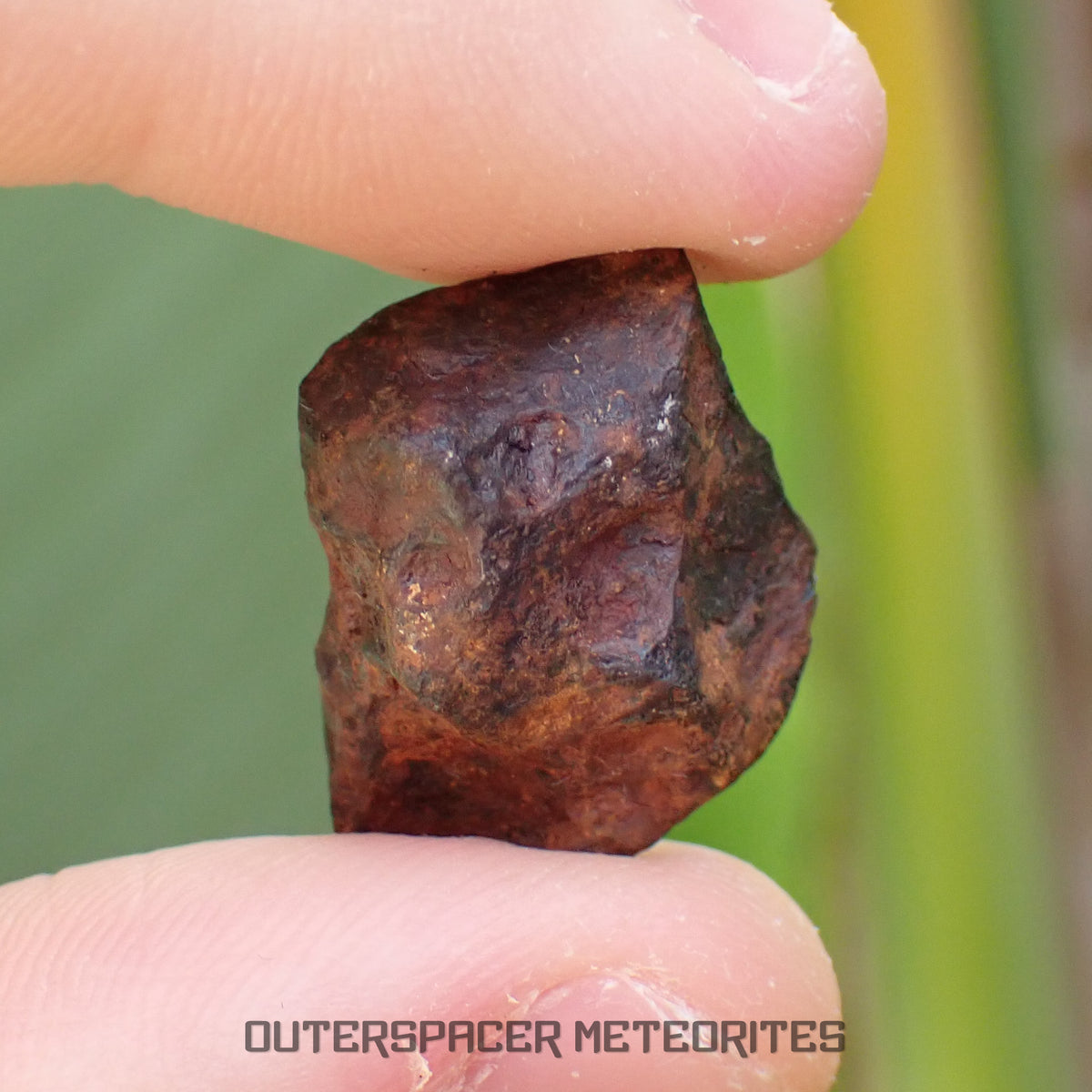 Agoudal (Imilchil) - Fer, IIAB - Individu complet - 9.47g - Maroc (Montagnes de l'Atlas)