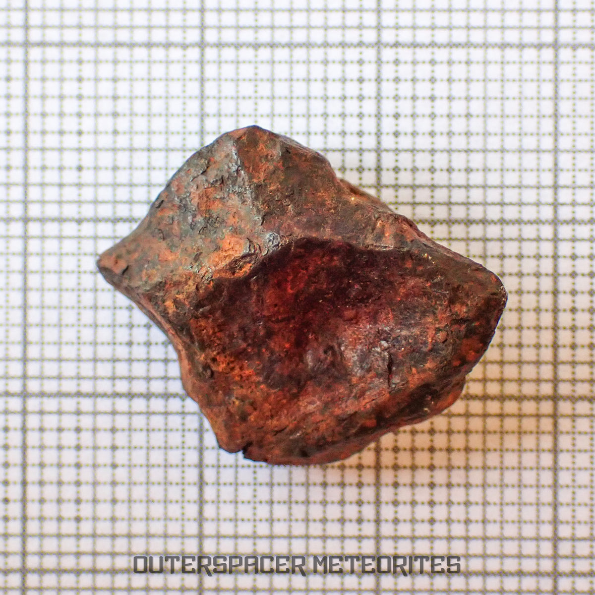 Agoudal (Imilchil) - Fer, IIAB - Individu complet - 9.47g - Maroc (Montagnes de l'Atlas)