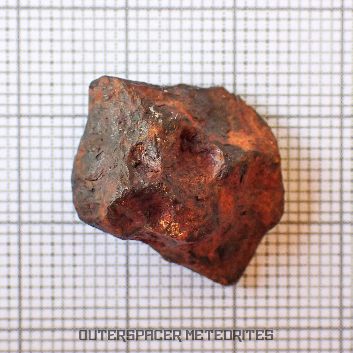 Agoudal (Imilchil) - Fer, IIAB - Individu complet - 9.47g - Maroc (Montagnes de l'Atlas)