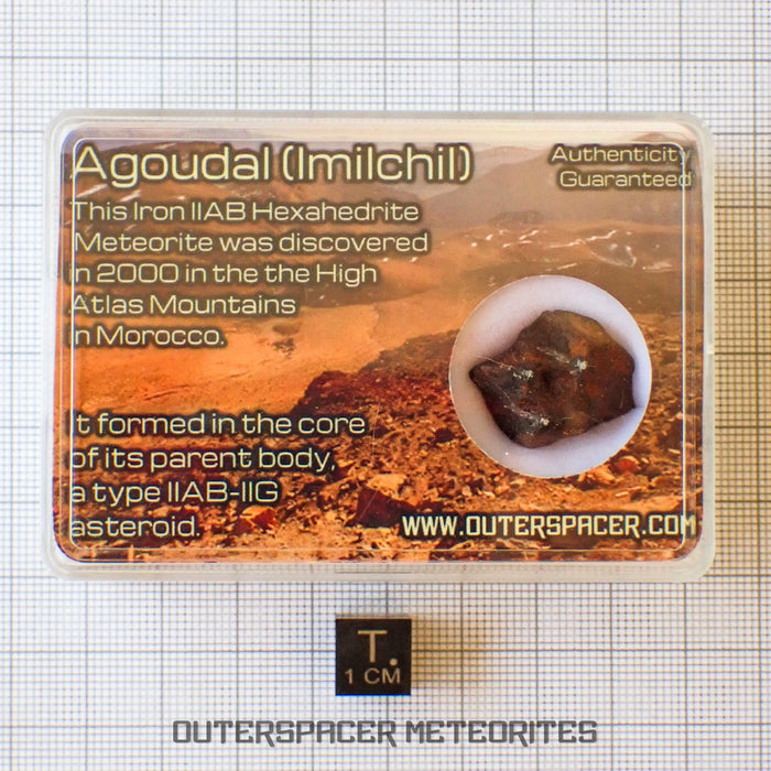Agoudal (Imilchil) - Iron, IIAB - Complete Individual - 9.47g - Morocco (Atlas Mountains)