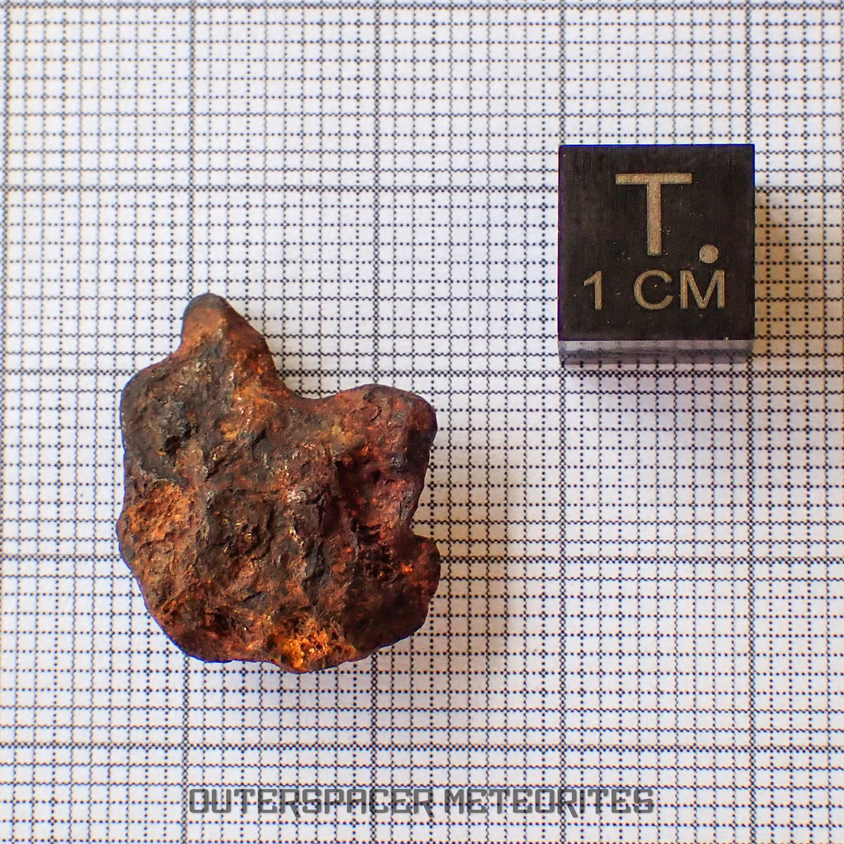 Agoudal (Imilchil) - Iron, IIAB - Complete Individual - 6.07g - Morocco (Atlas Mountains)