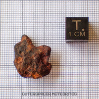 Agoudal (Imilchil) - Iron, IIAB - Complete Individual - 6.07g - Morocco (Atlas Mountains)
