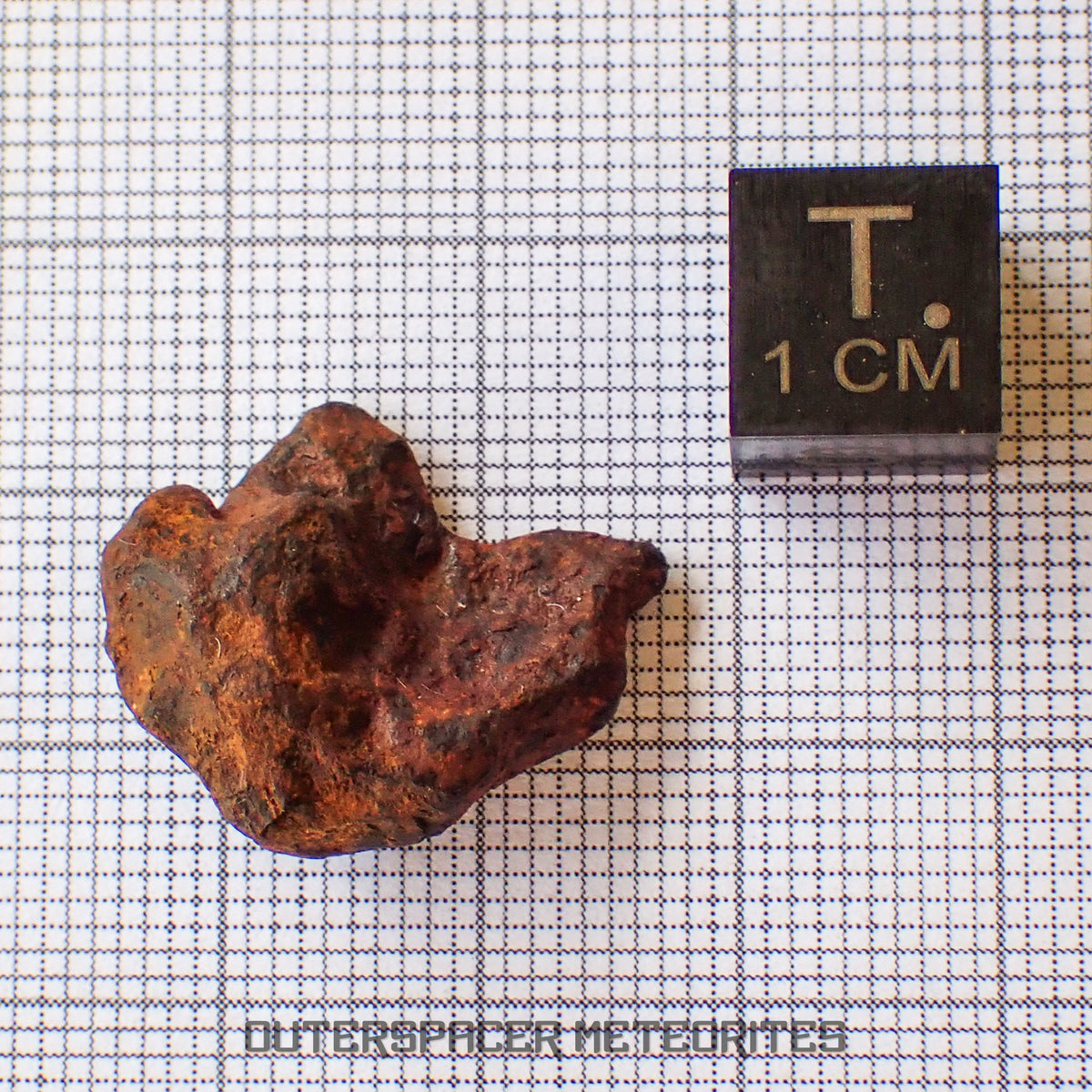 Agoudal (Imilchil) - Iron, IIAB - Complete Individual - 6.07g - Morocco (Atlas Mountains)