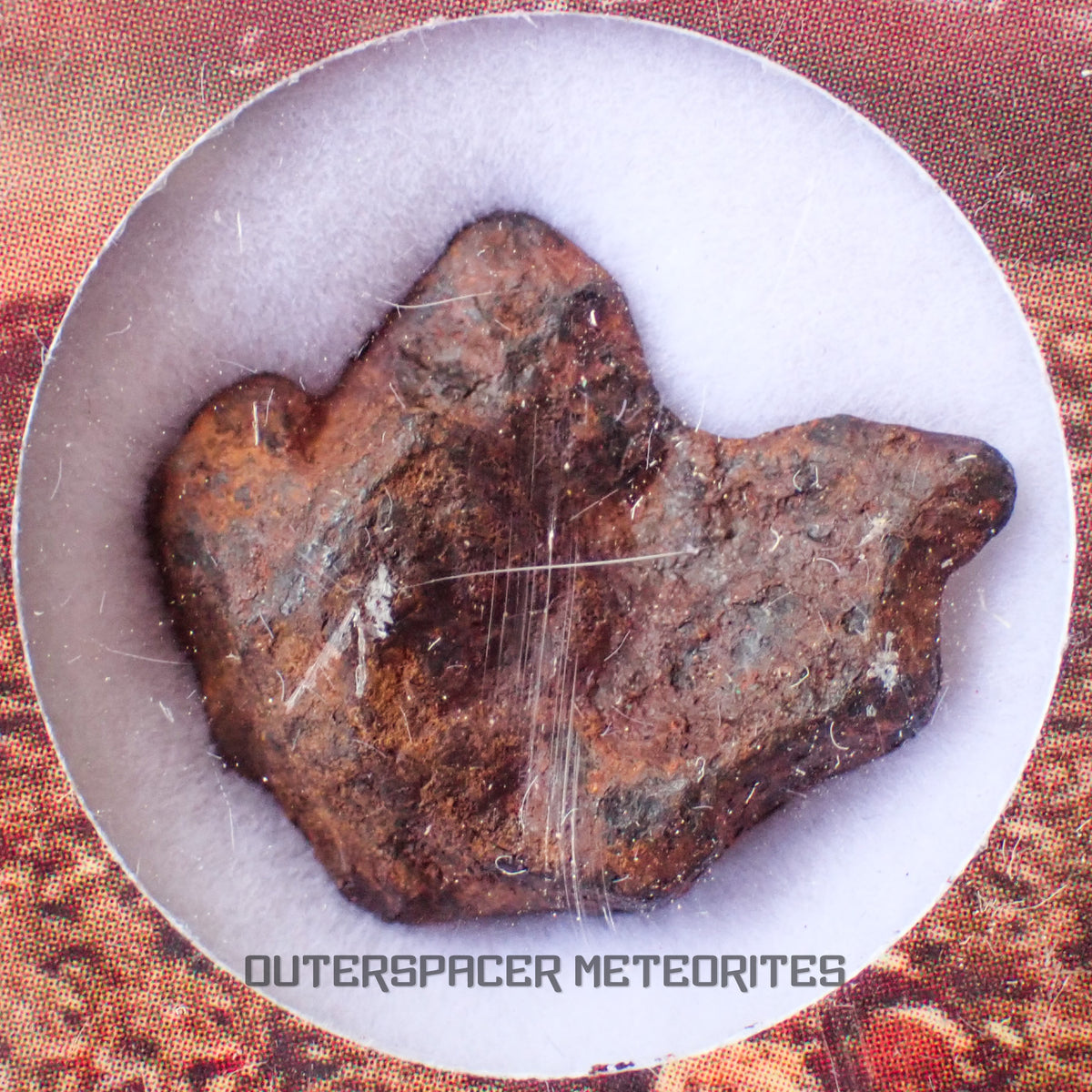 Agoudal (Imilchil) - Iron, IIAB - Complete Individual - 6.07g - Morocco (Atlas Mountains)