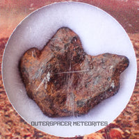 Agoudal (Imilchil) - Iron, IIAB - Complete Individual - 6.07g - Morocco (Atlas Mountains)