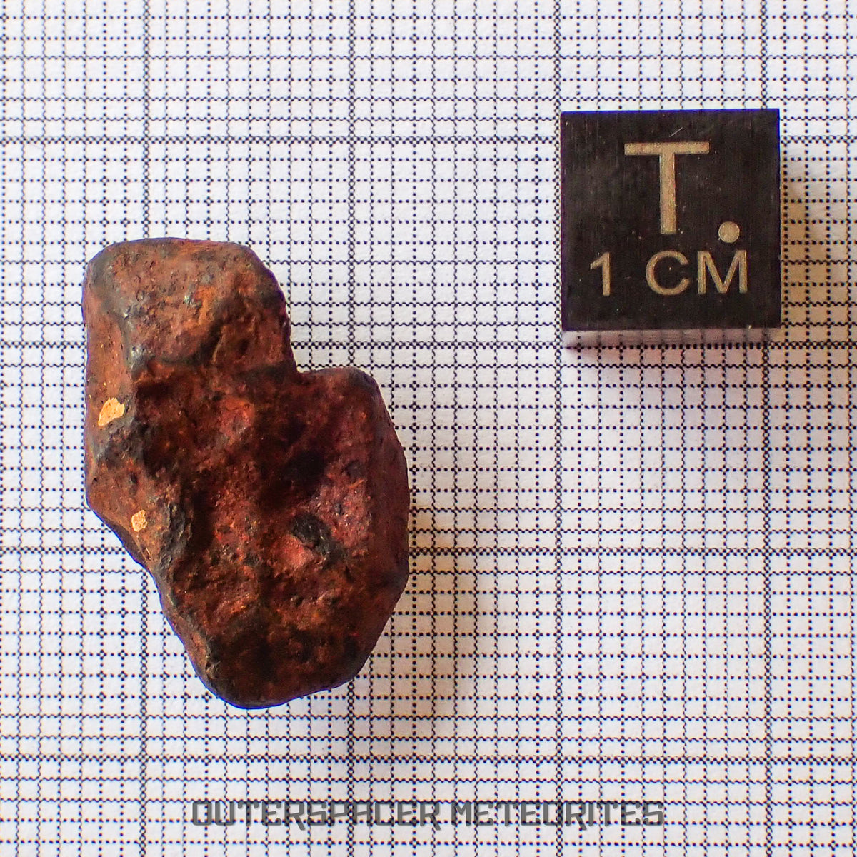 Agoudal (Imilchil) - Fer, IIAB - Individu complet - 8,35g - Maroc (Montagnes de l'Atlas)