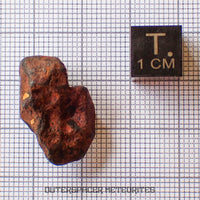 Agoudal (Imilchil) - Fer, IIAB - Individu complet - 8,35g - Maroc (Montagnes de l'Atlas)