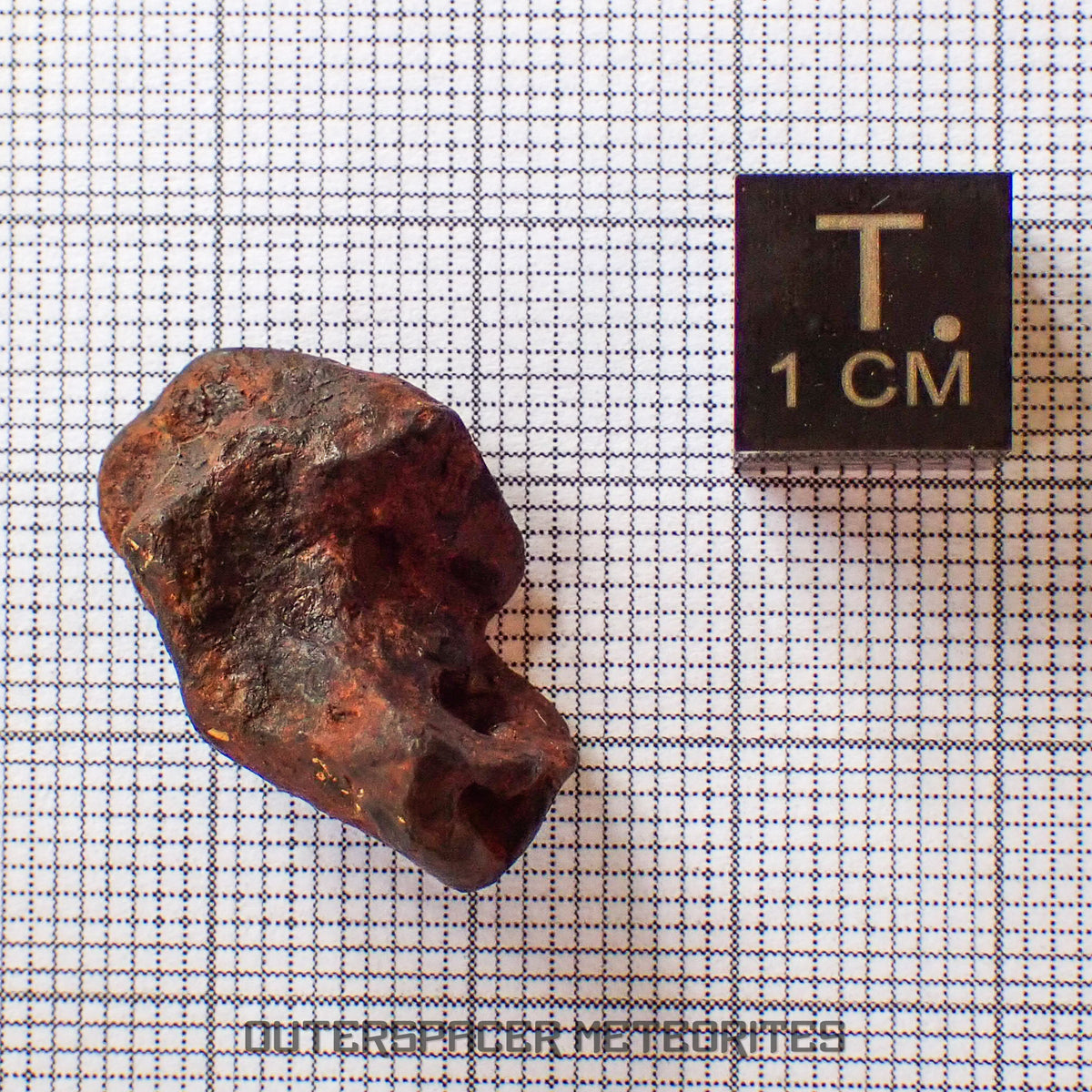 Agoudal (Imilchil) - Fer, IIAB - Individu complet - 8,35g - Maroc (Montagnes de l'Atlas)
