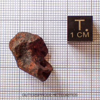 Agoudal (Imilchil) - Fer, IIAB - Individu complet - 8,35g - Maroc (Montagnes de l'Atlas)