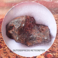 Agoudal (Imilchil) - Fer, IIAB - Individu complet - 8,35g - Maroc (Montagnes de l'Atlas)