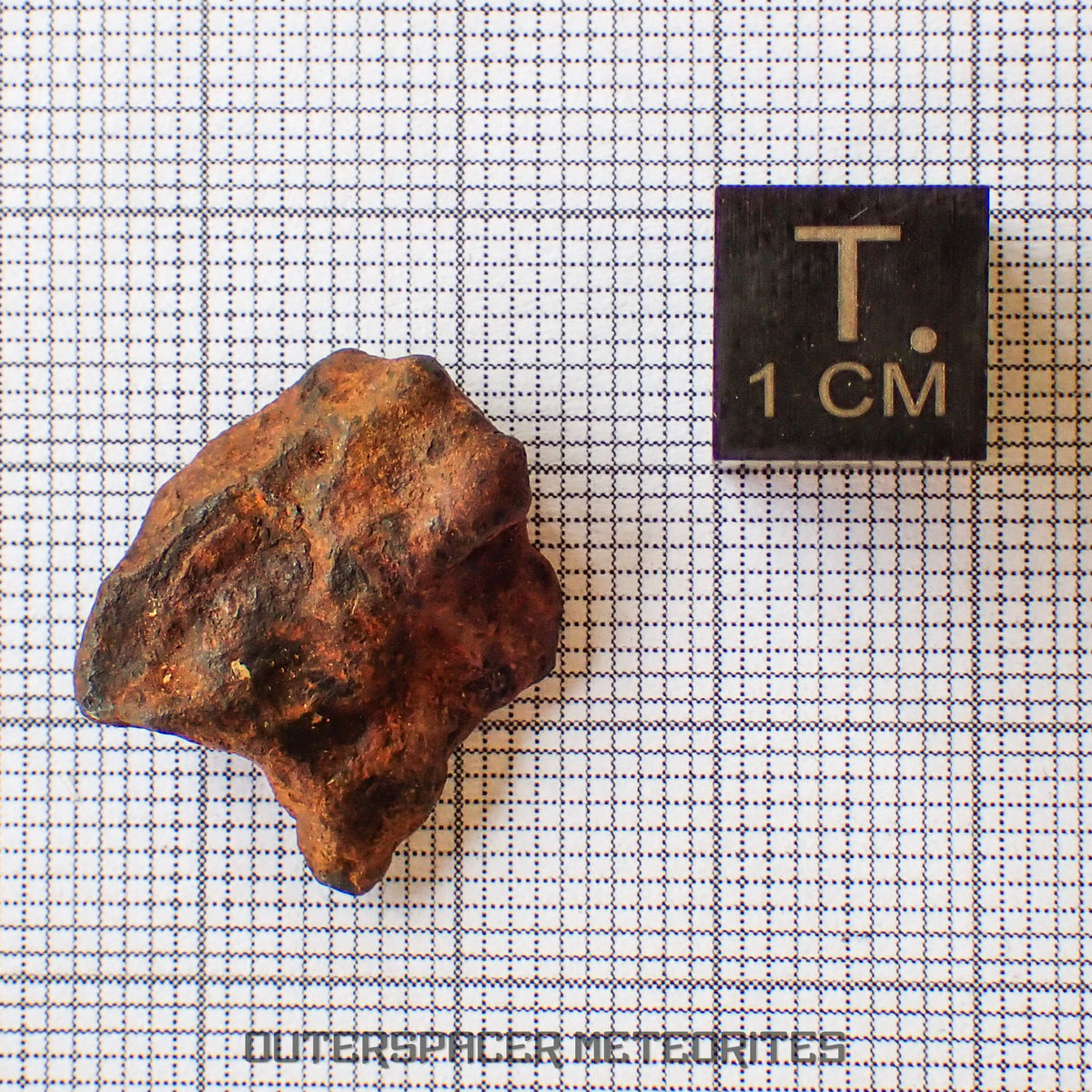 Agoudal (Imilchil) - Fer, IIAB - Individu Complet - 6,28g - Maroc (Montagnes de l'Atlas)