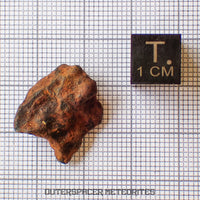 Agoudal (Imilchil) - Fer, IIAB - Individu Complet - 6,28g - Maroc (Montagnes de l'Atlas)