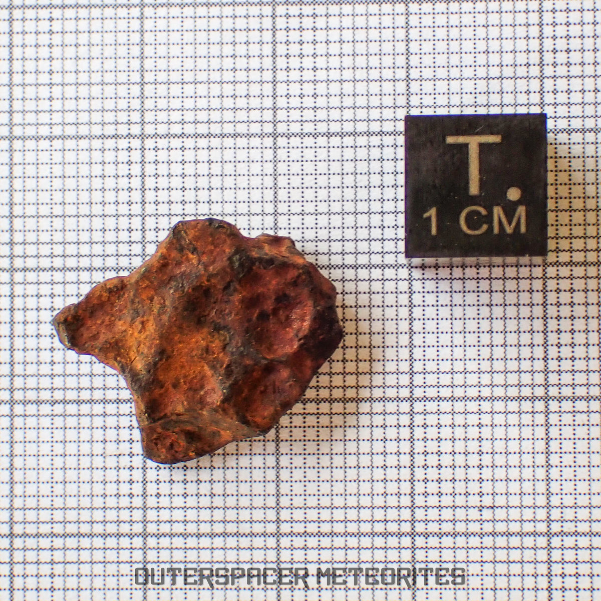 Agoudal (Imilchil) - Fer, IIAB - Individu Complet - 6,28g - Maroc (Montagnes de l'Atlas)