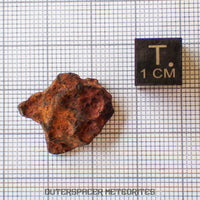 Agoudal (Imilchil) - Fer, IIAB - Individu Complet - 6,28g - Maroc (Montagnes de l'Atlas)
