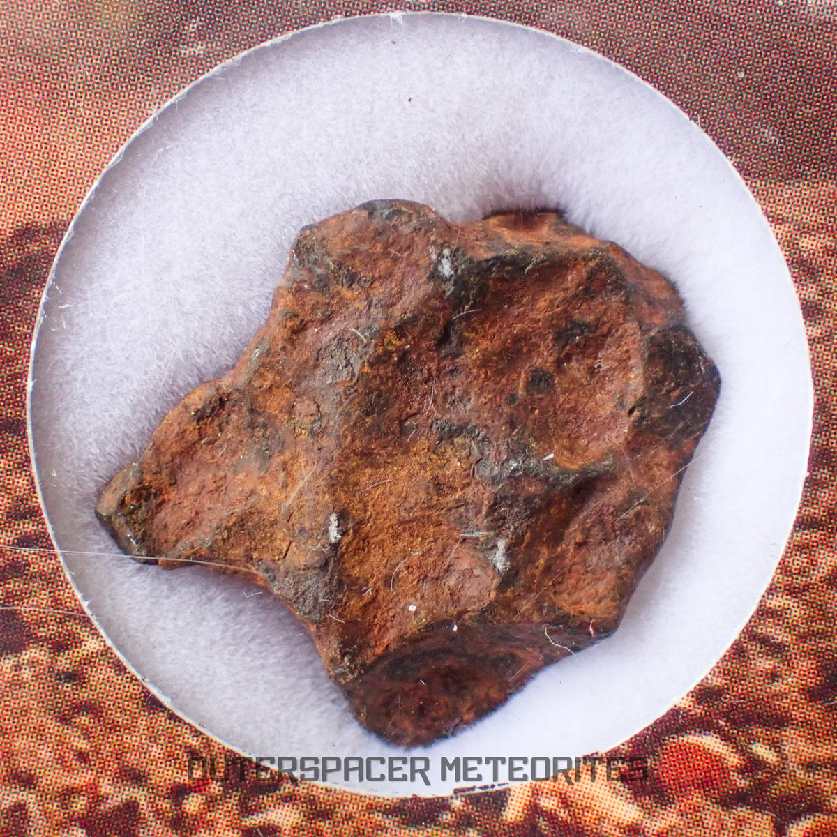Agoudal (Imilchil) - Fer, IIAB - Individu Complet - 6,28g - Maroc (Montagnes de l'Atlas)