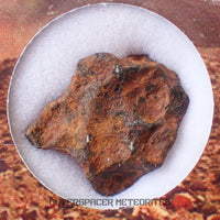 Agoudal (Imilchil) - Fer, IIAB - Individu Complet - 6,28g - Maroc (Montagnes de l'Atlas)