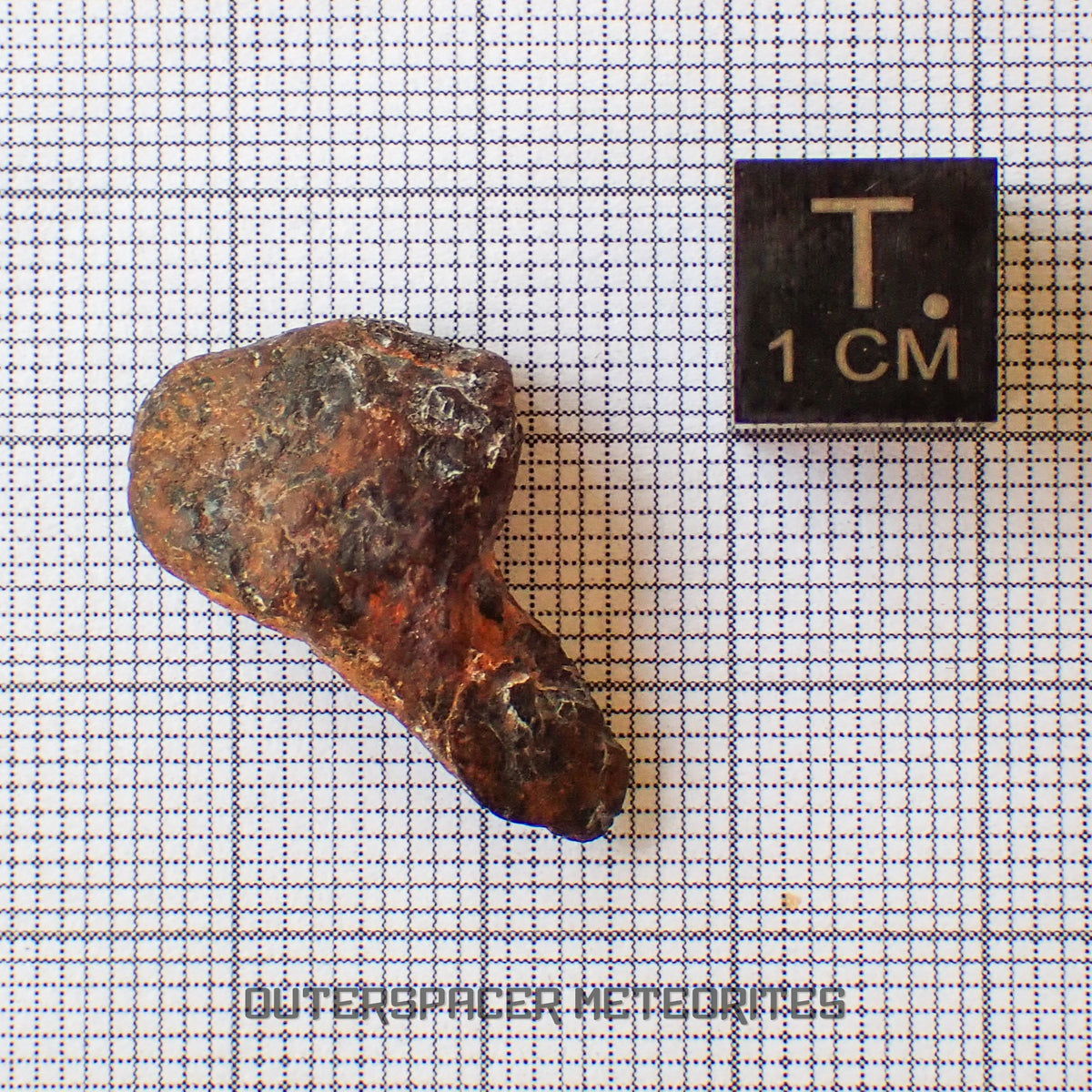 Agoudal (Imilchil) - Iron, IIAB - Complete Individual - 6.68g - Morocco (Atlas Mountains)
