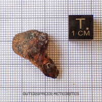 Agoudal (Imilchil) - Iron, IIAB - Complete Individual - 6.68g - Morocco (Atlas Mountains)