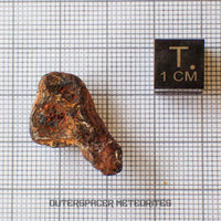 Agoudal (Imilchil) - Iron, IIAB - Complete Individual - 6.68g - Morocco (Atlas Mountains)