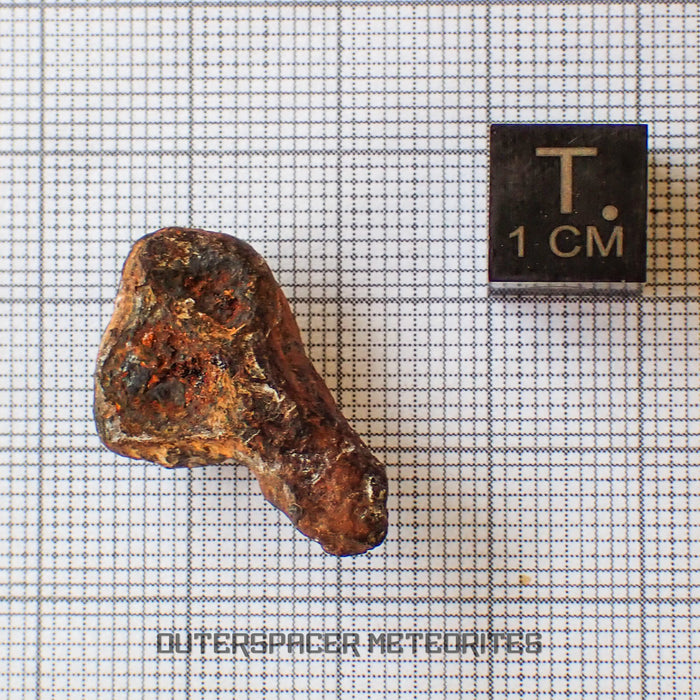 Agoudal (Imilchil) - Iron, IIAB - Complete Individual - 6.68g - Morocco (Atlas Mountains)
