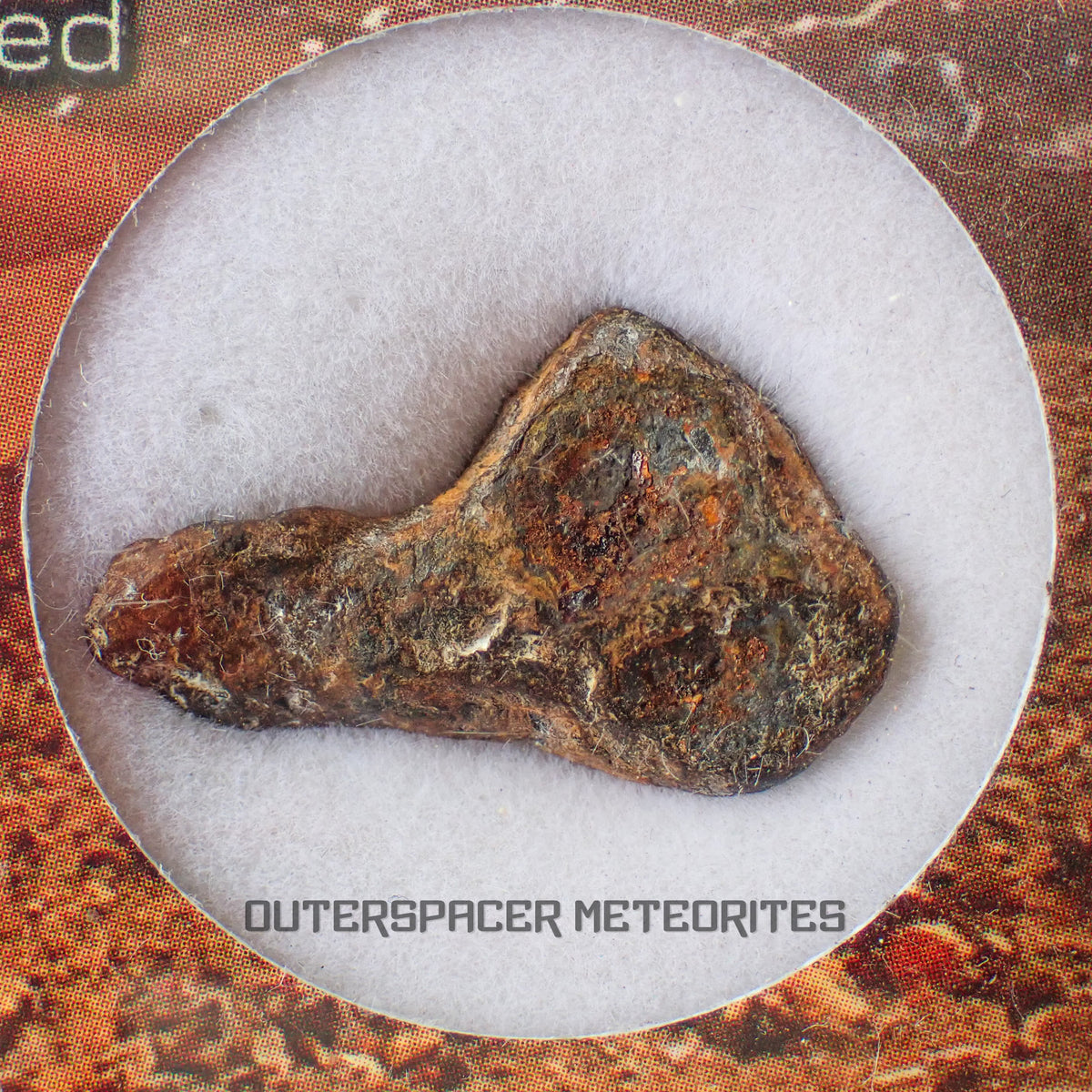 Agoudal (Imilchil) - Iron, IIAB - Complete Individual - 6.68g - Morocco (Atlas Mountains)