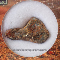 Agoudal (Imilchil) - Iron, IIAB - Complete Individual - 6.68g - Morocco (Atlas Mountains)
