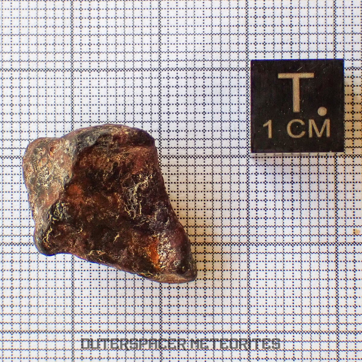 Agoudal (Imilchil) - Fer, IIAB - Individu complet - 9,62g - Maroc (Montagnes de l'Atlas)
