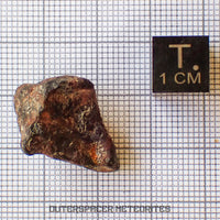 Agoudal (Imilchil) - Fer, IIAB - Individu complet - 9,62g - Maroc (Montagnes de l'Atlas)