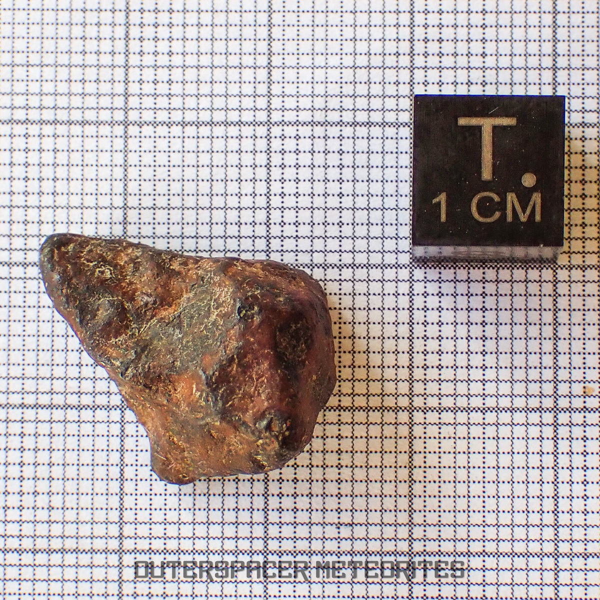 Agoudal (Imilchil) - Fer, IIAB - Individu complet - 9,62g - Maroc (Montagnes de l'Atlas)