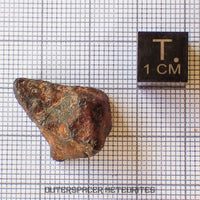 Agoudal (Imilchil) - Fer, IIAB - Individu complet - 9,62g - Maroc (Montagnes de l'Atlas)
