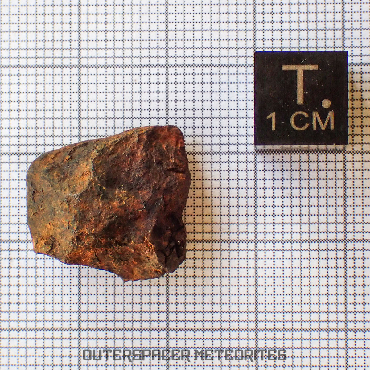 Agoudal (Imilchil) - Hierro, IIAB - Individuo completo - 7,77g - Marruecos (Montañas del Atlas)