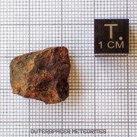 Agoudal (Imilchil) - Hierro, IIAB - Individuo completo - 7,77g - Marruecos (Montañas del Atlas)