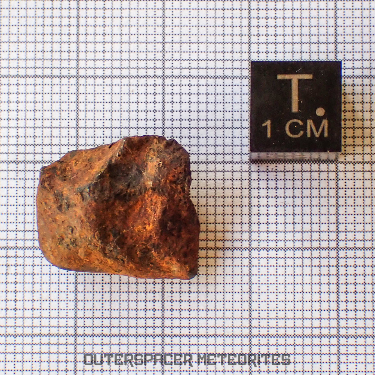 Agoudal (Imilchil) - Hierro, IIAB - Individuo completo - 7,77g - Marruecos (Montañas del Atlas)