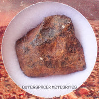 Agoudal (Imilchil) - Hierro, IIAB - Individuo completo - 7,77g - Marruecos (Montañas del Atlas)