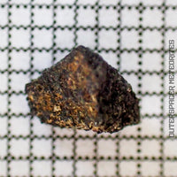 Aguas Zarcas - CM2 Carbonaceous Chondrite - Small Fragment - <0.1g - Costa Rica - Costa Rica