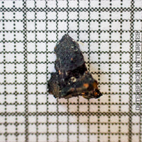 Aguas Zarcas - Chondrite Carbonée CM2 - Petit Fragment - <0.1g - Costa Rica - Costa Rica