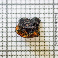 Aguas Zarcas - CM2 Carbonaceous Chondrite - Small Fragment - <0.1g - Costa Rica - Costa Rica