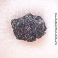Aguas Zarcas - Chondrite Carbonée CM2 - Petit Fragment - <0.1g - Costa Rica - Costa Rica