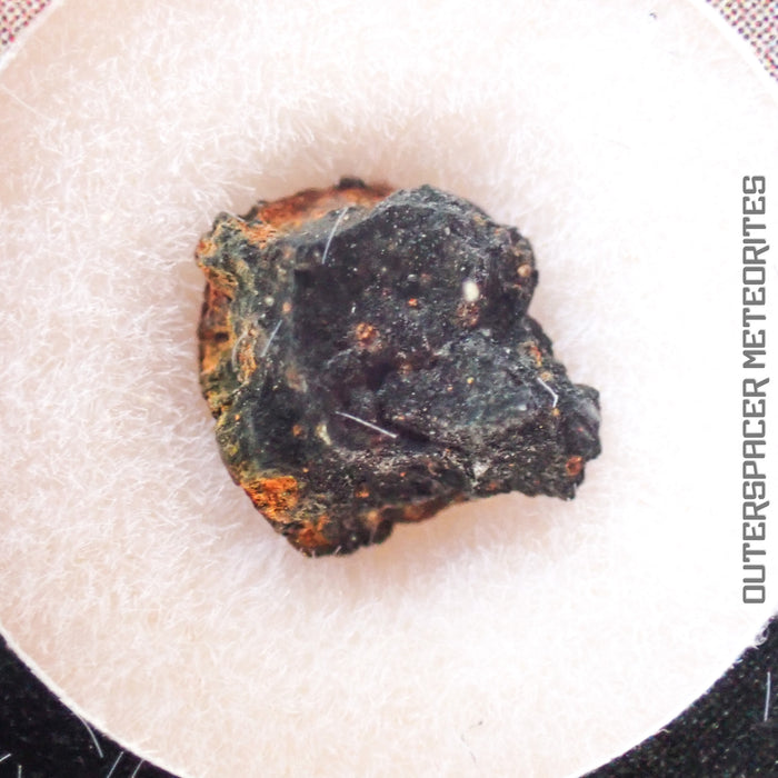 Aguas Zarcas - CM2 Carbonaceous Chondrite - Small Fragment - <0.1g - Costa Rica - Costa Rica