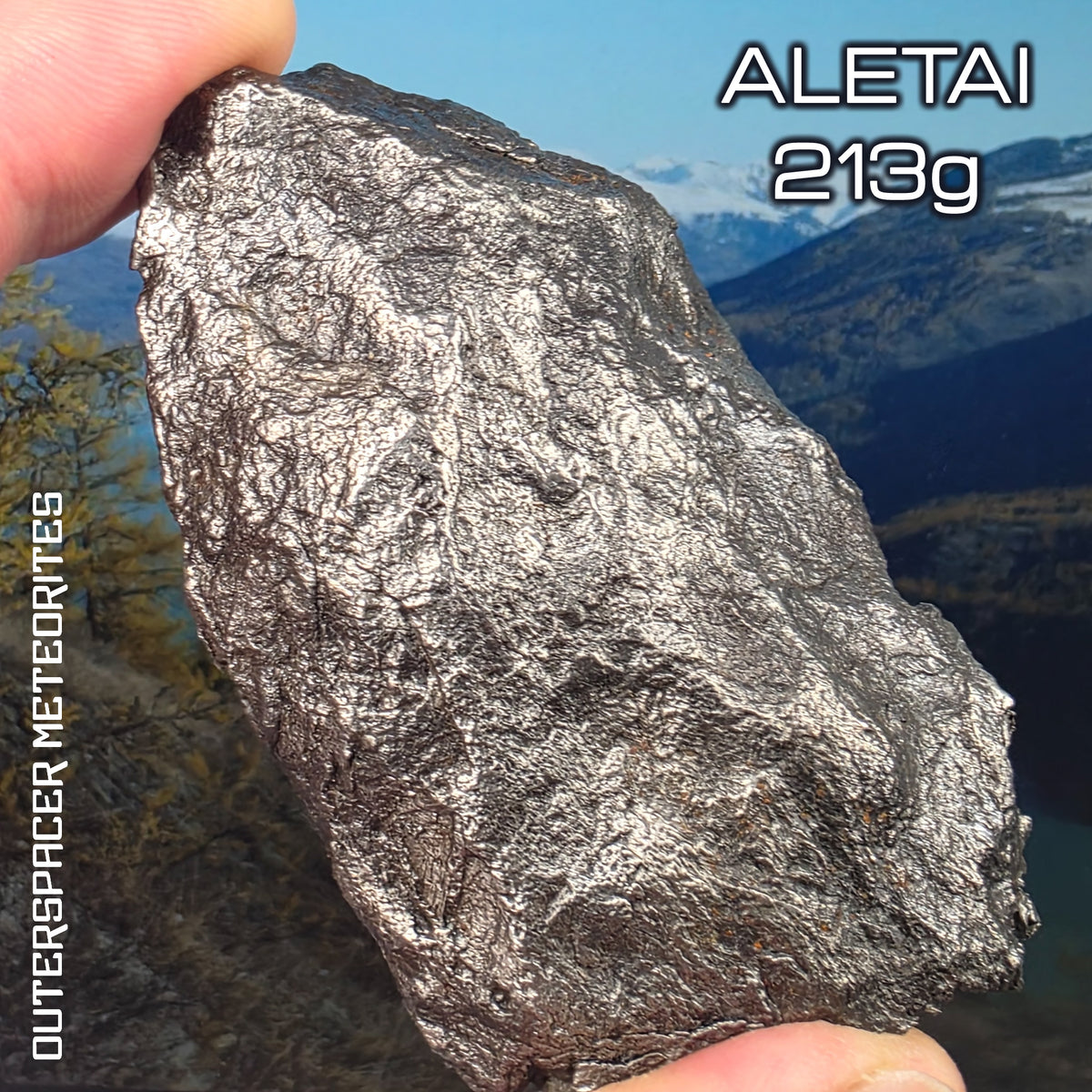 Aletai - Iron IIIE-an - Complete Individual - 213.86g - China (Xinjiang)
