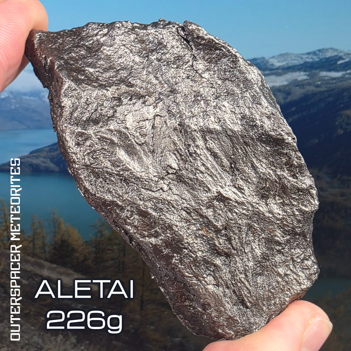 Aletai - Iron IIIE-an - Complete Individual - 225.89g - China (Xinjiang)
