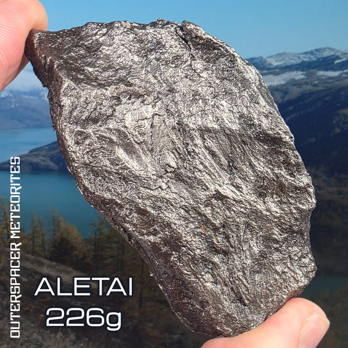 Aletai - Hierro IIIE-an - Ejemplar Completo - 225,89g - China (Xinjiang)