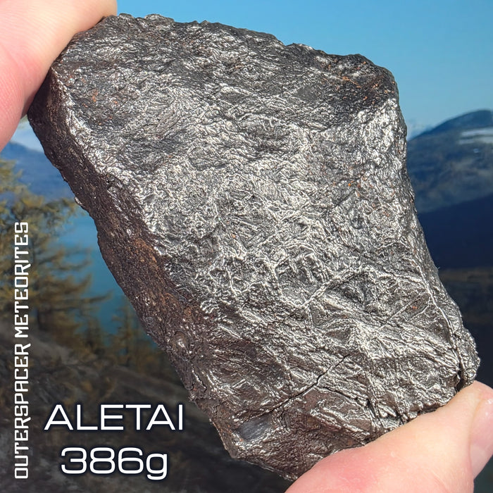 Aletai - Hierro IIIE-an - Individual completo - 386.59g - China (Xinjiang)