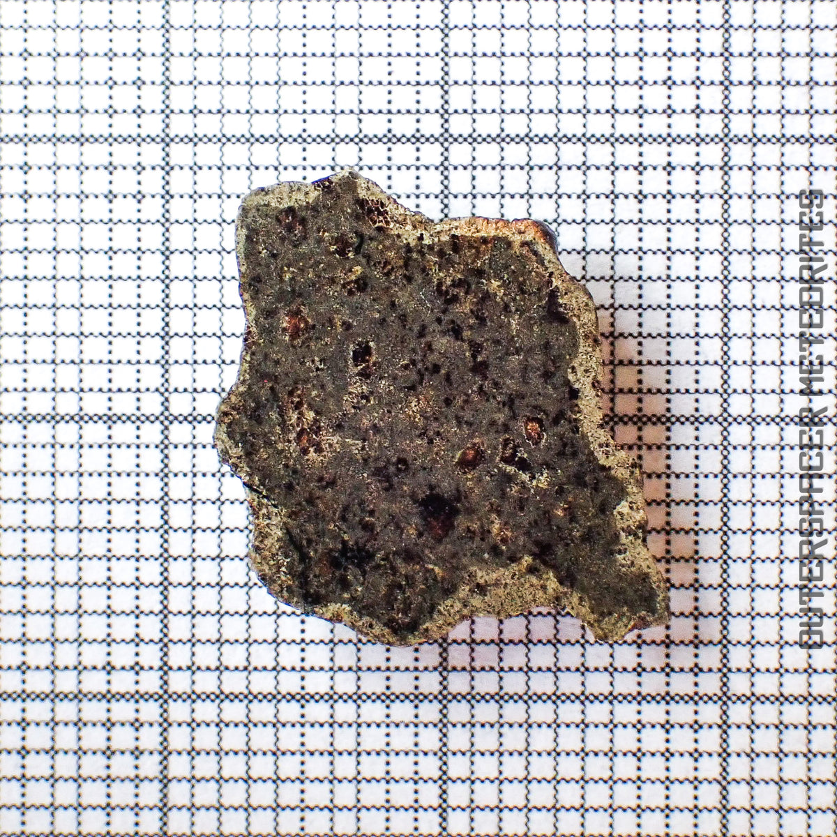 Amgala 001 - Martian Shergottite (Olivine-Phyric) - 1.02g - Western Sahara