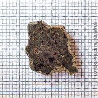 Amgala 001 - Martian Shergottite (Olivine-Phyric) - 1.02g - Western Sahara