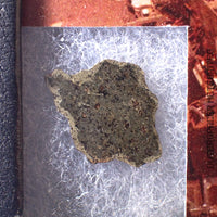 Amgala 001 - Martian Shergottite (Olivine-Phyric) - 1.02g - Western Sahara