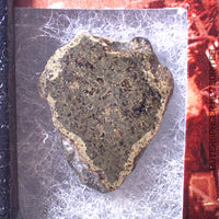 Amgala 001 - Martian Shergottite (Olivine-Phyric) - 2.37g - Western Sahara