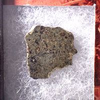 Amgala 001 - Shergottita Marciana (Olivino-Fírica) - 1.34g - Sáhara Occidental