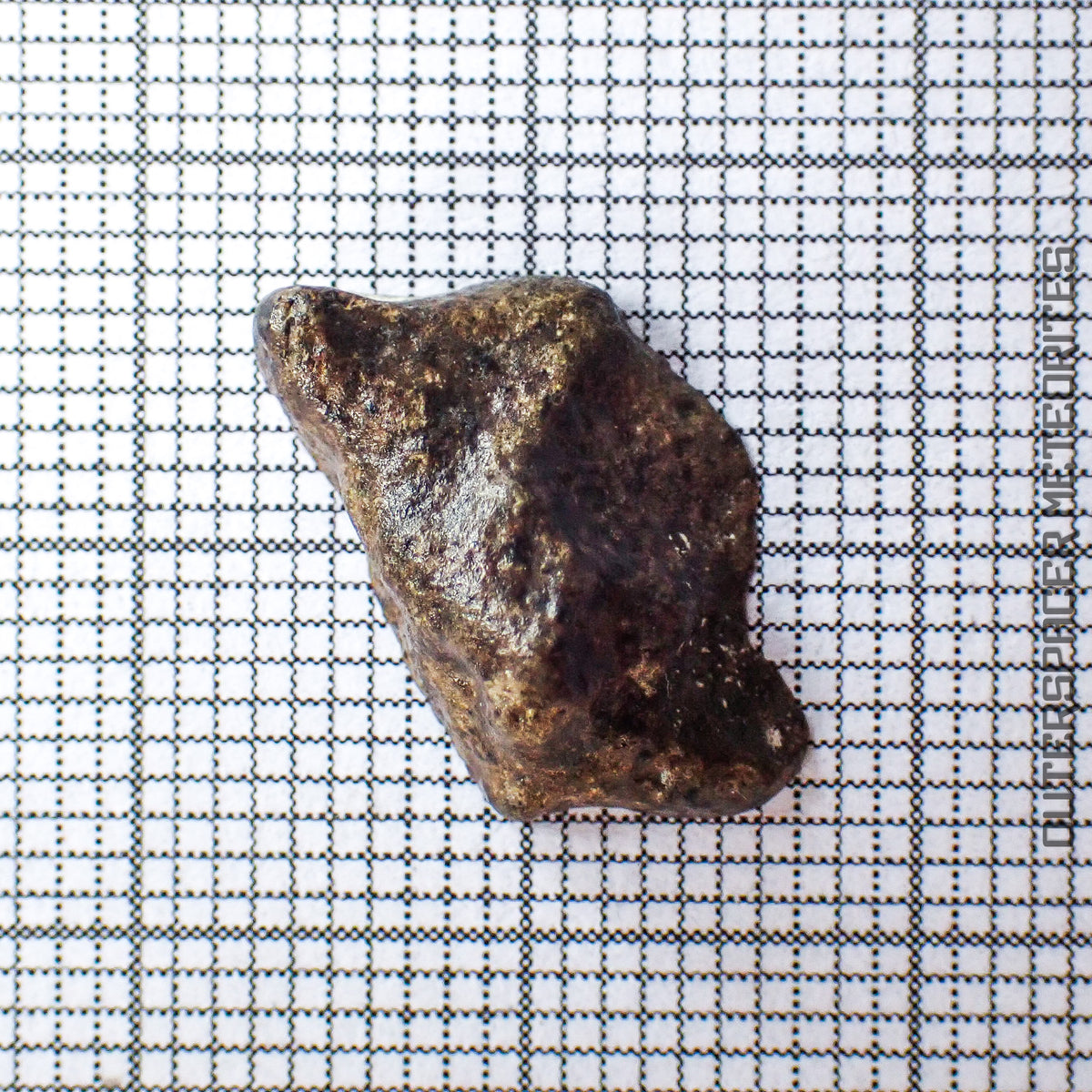 Amgala 001 - Martian Shergottite (Olivine-Phyric) - 0.99g - Western Sahara